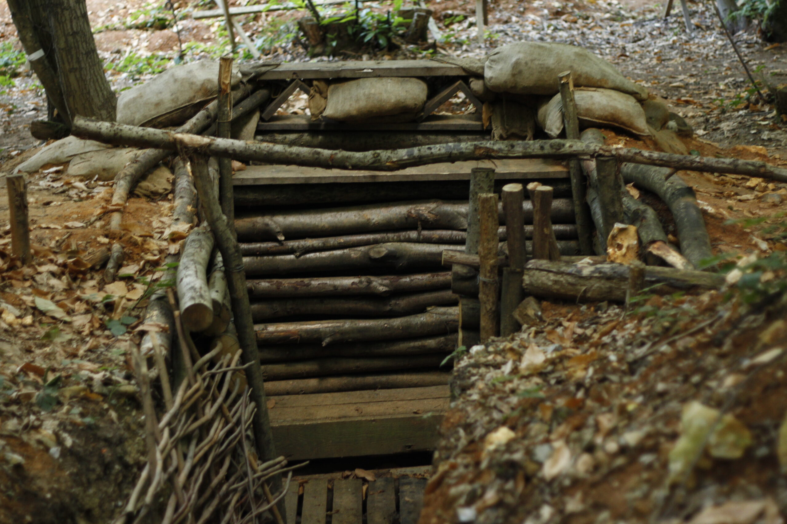 World War 1 Trench